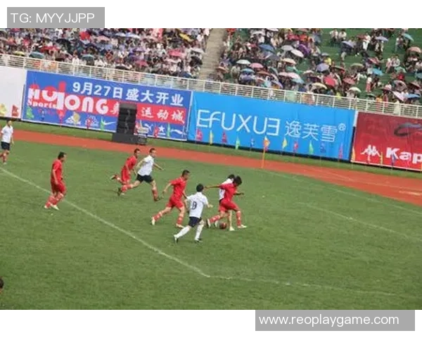 足球明星的最佳性价比分析与推荐让你了解最划算的选择